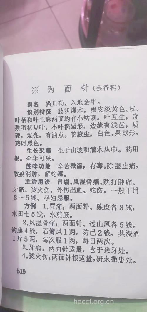 两面针的功效与作用