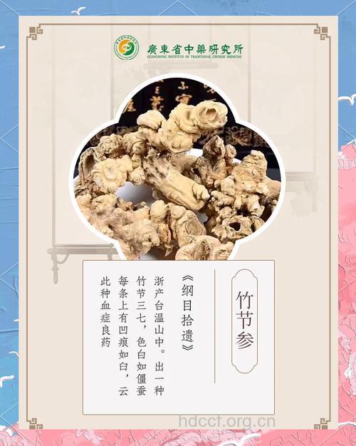 竹节人参叶的功效与作用