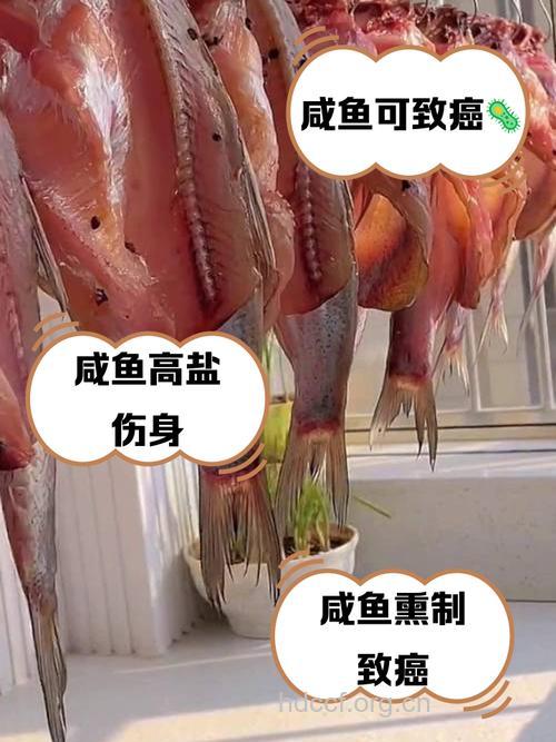 腌鱼会不会致癌呢