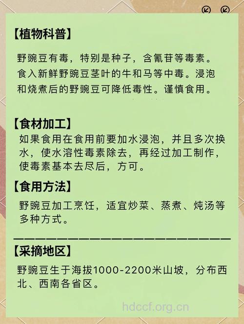 野豌豆的功效与作用
