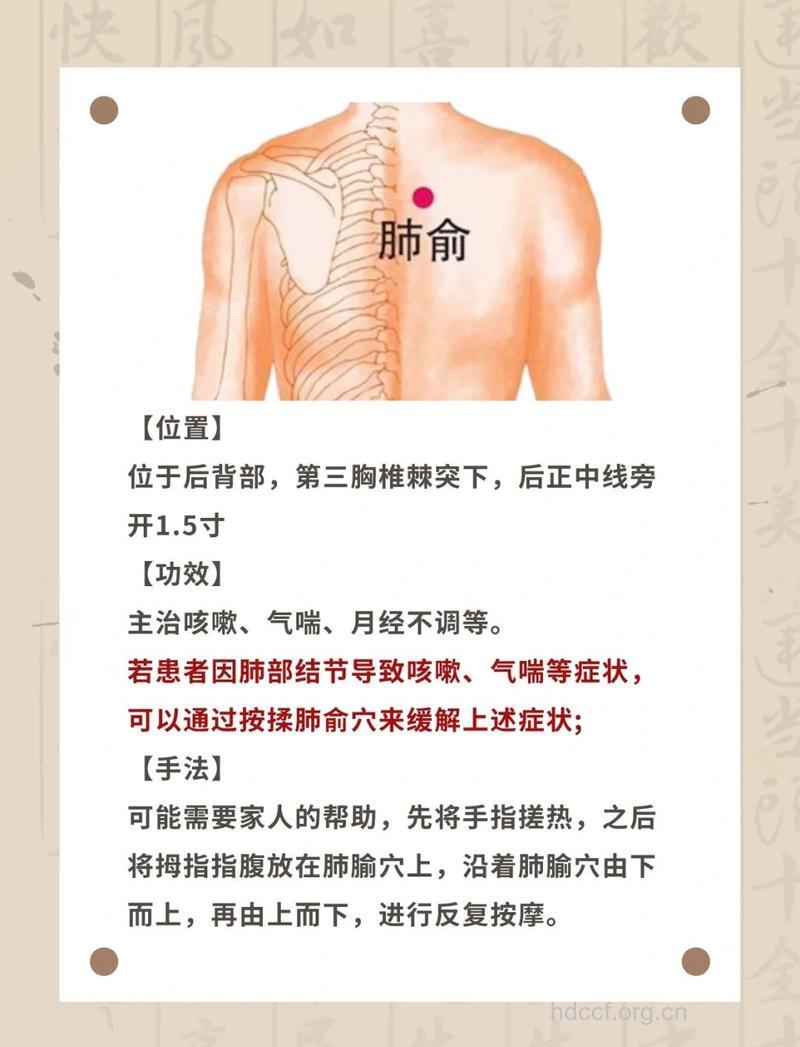 怎么养肺好 多按按这5个位置