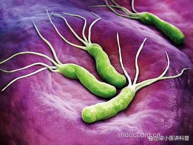 不同的血型与身体状况