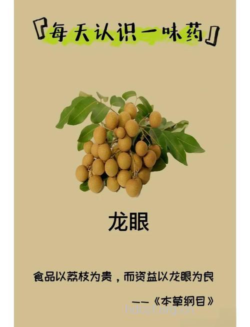 龙眼树皮的功效与作用