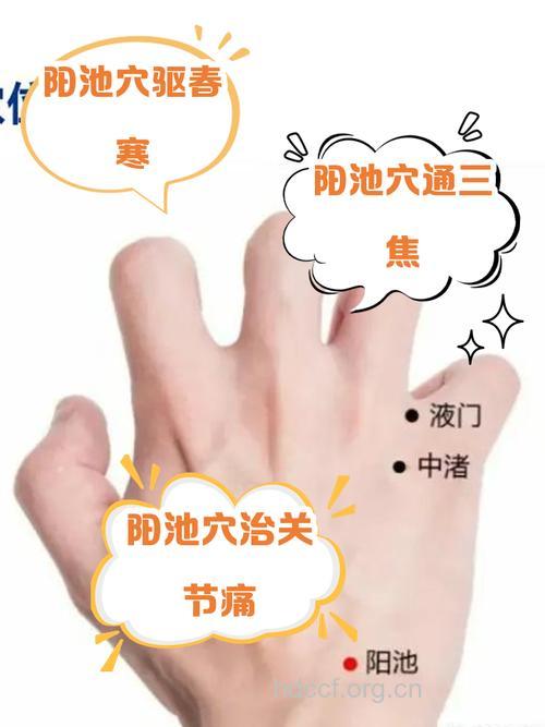 手脚冰凉怎么办 不妨揉揉阳池穴