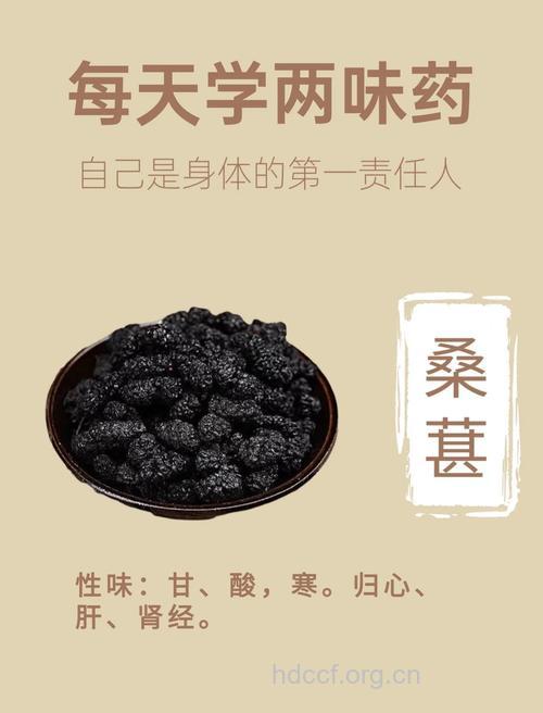 吃桑葚帮辅助治疗疗牛皮癣