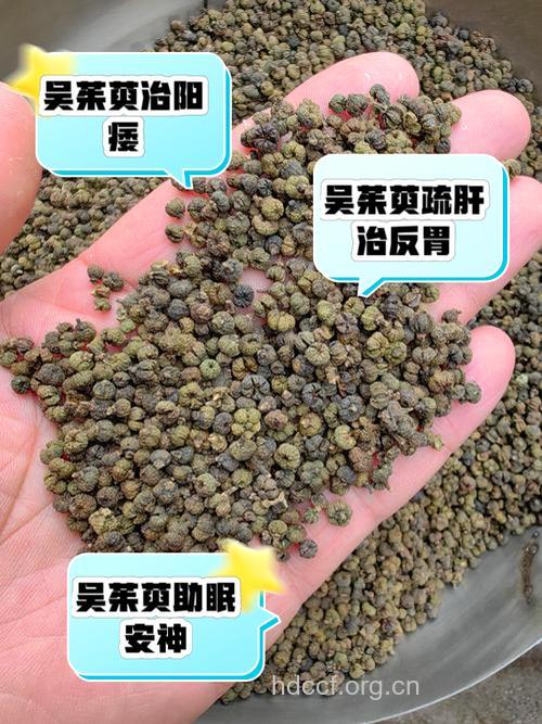 山吴萸的功效与作用