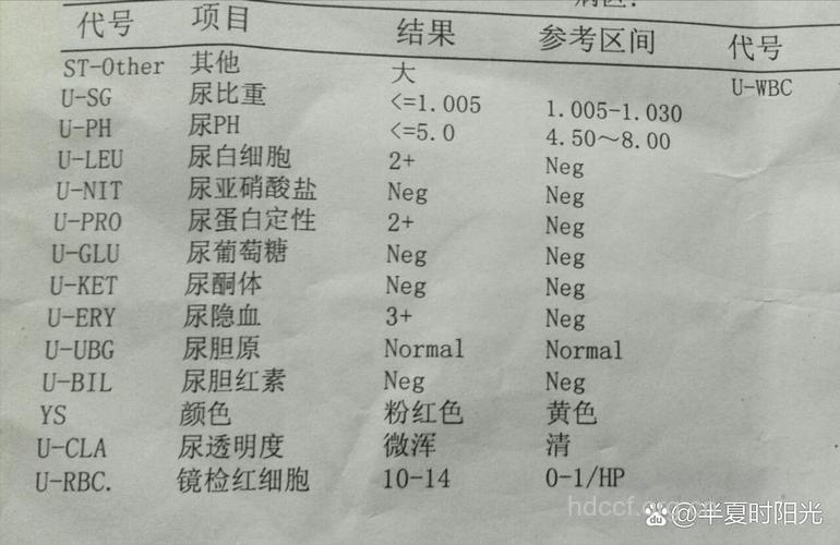 肾病检查 尿蛋白加号越多越严重吗