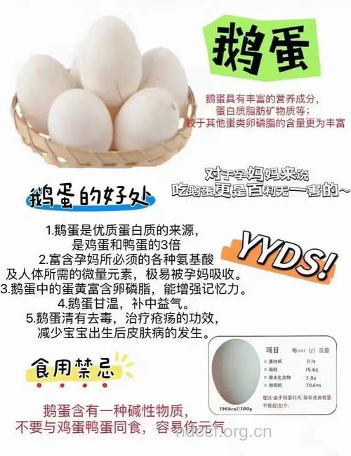 鸭卵的功效与作用