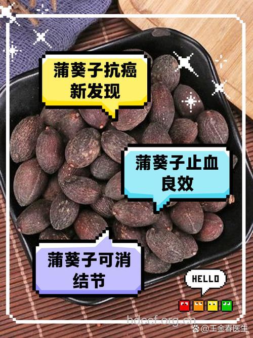 蒲葵子的功效与作用