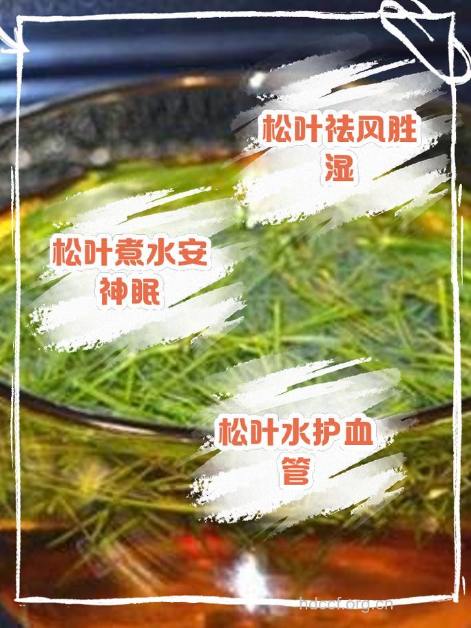 水松叶的功效与作用