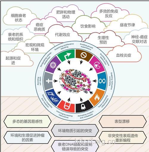 哪些都市因素导致肿瘤