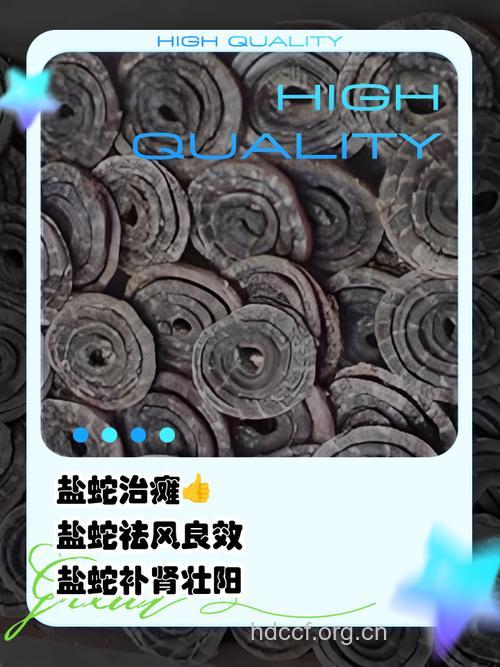 盐蛇的功效与作用