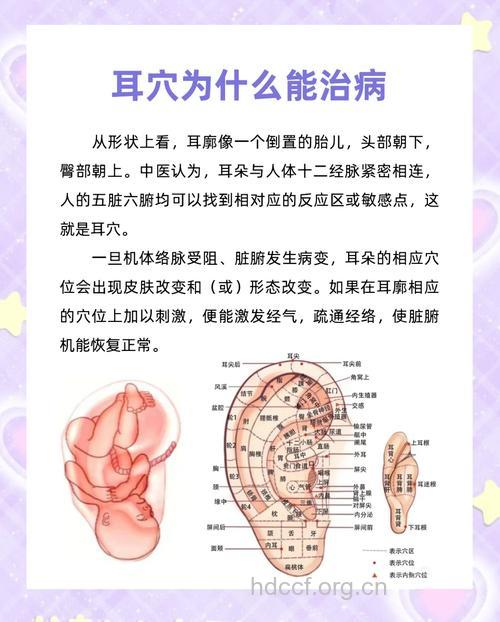 按摩耳朵能防痛经 具有4大好处