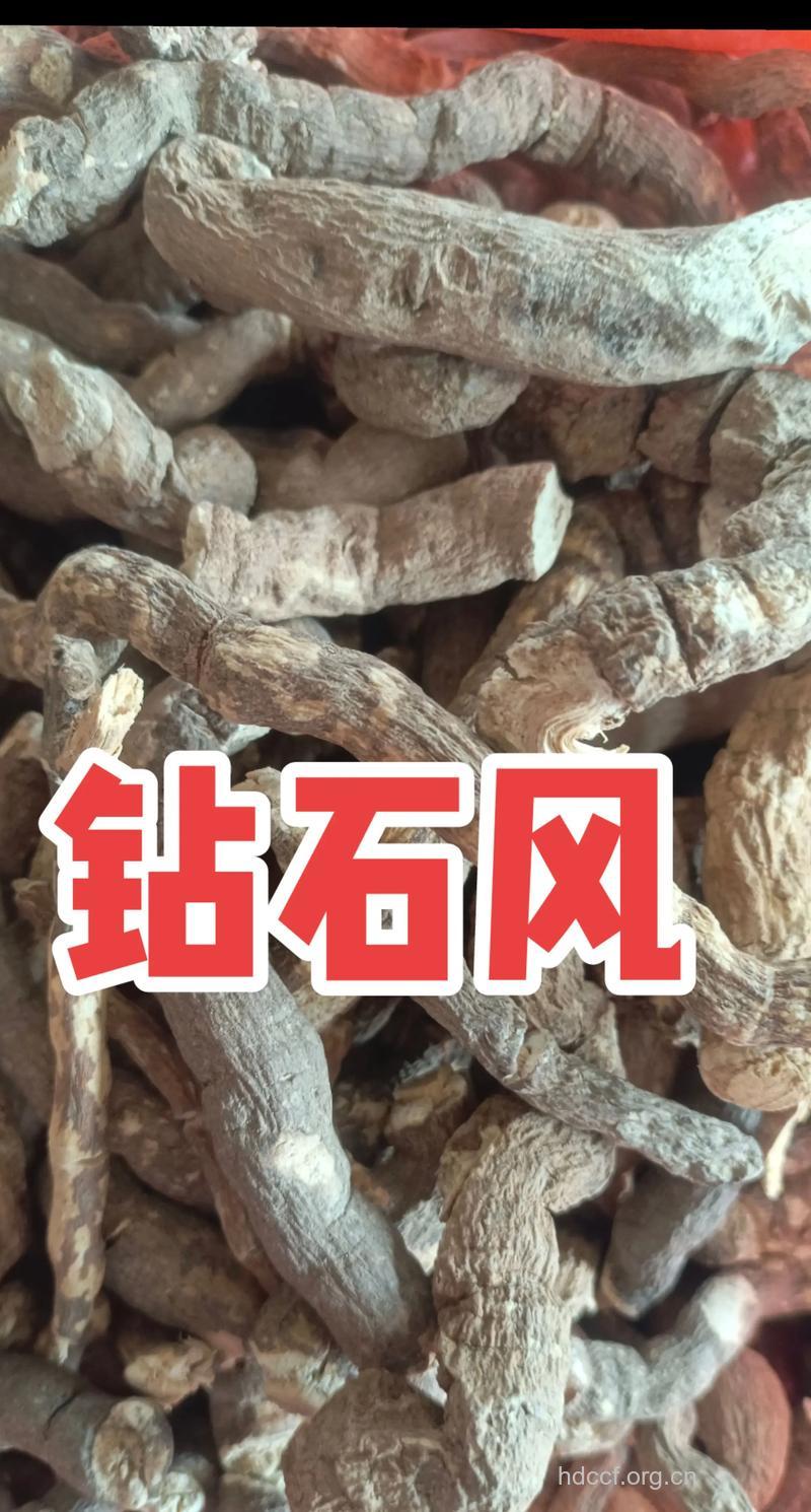 钻石风的功效与作用