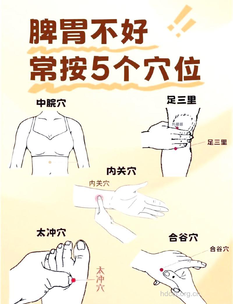 按摩五个穴位 效果不比补药差