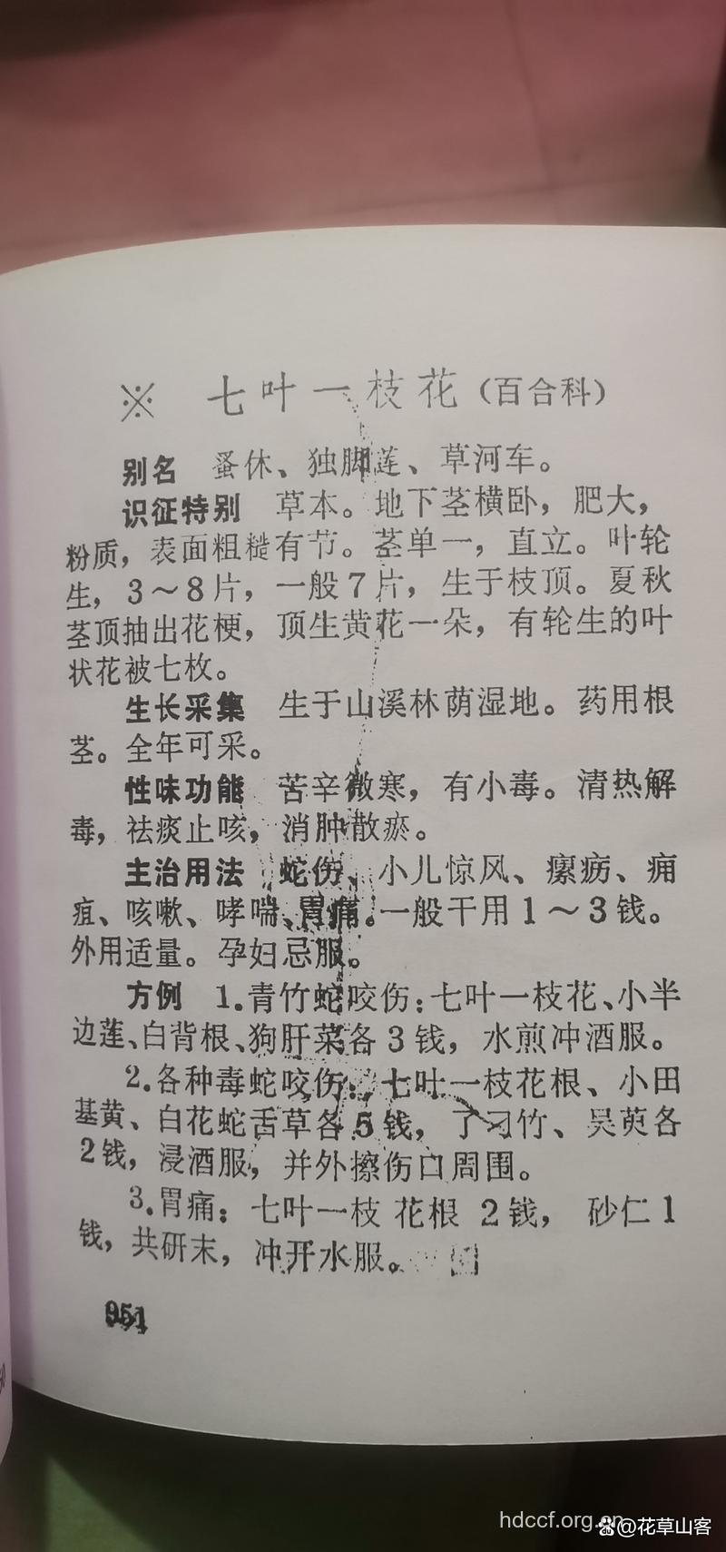 丝茅七的功效与作用