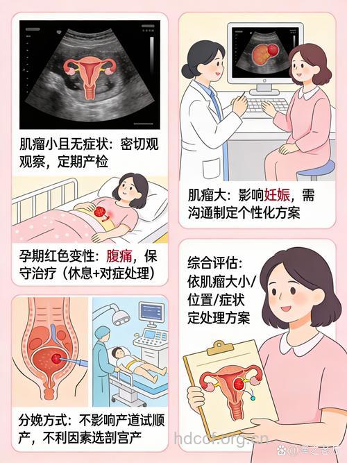 子宫肌瘤剔除术后怀孕的两风险