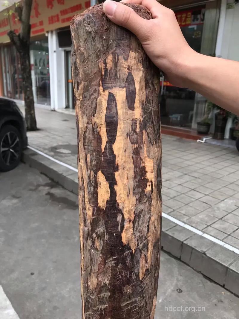 紫油木的功效与作用