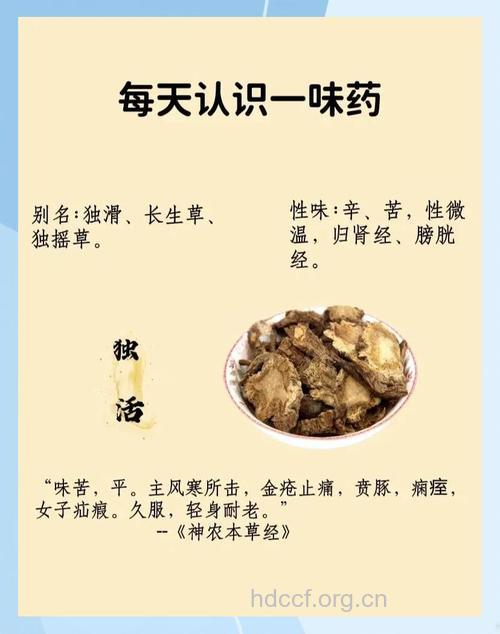 丽江独活的功效与作用