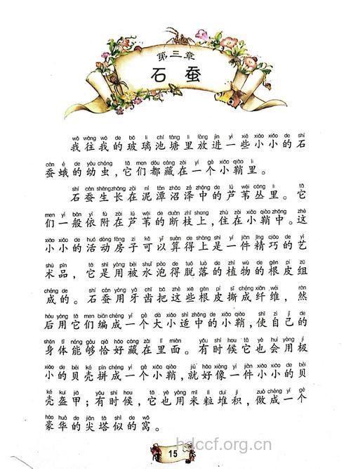 石蚕的功效与作用