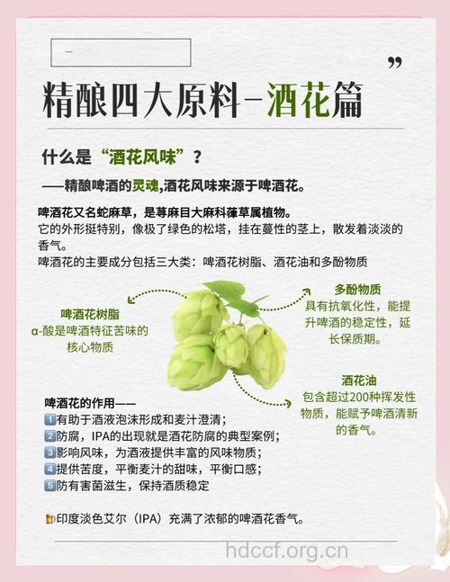 啤酒花的功效与作用