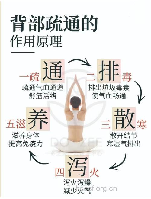 背部是四大养生区之一 做好保暖很重要