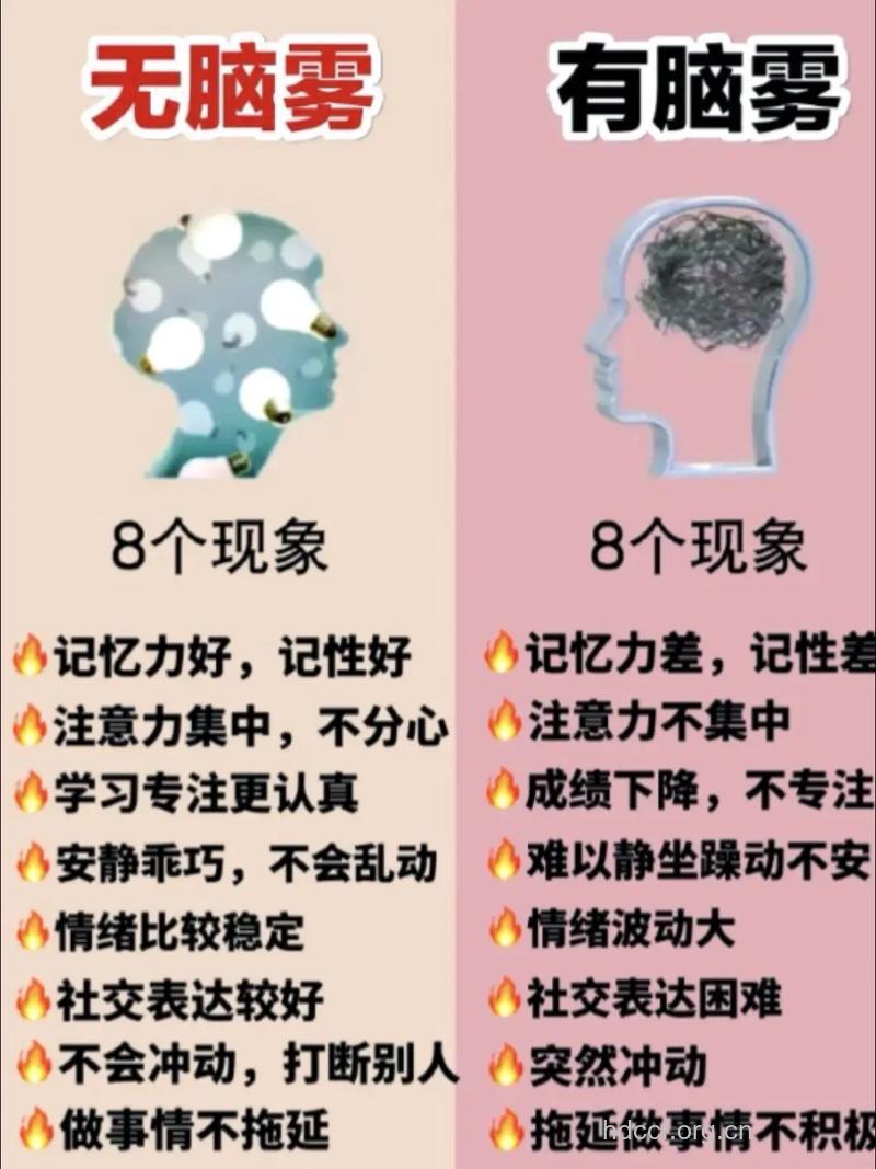 记忆力变差反应迟钝 摸摸头就能补补脑