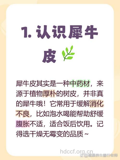 犀牛皮的功效与作用