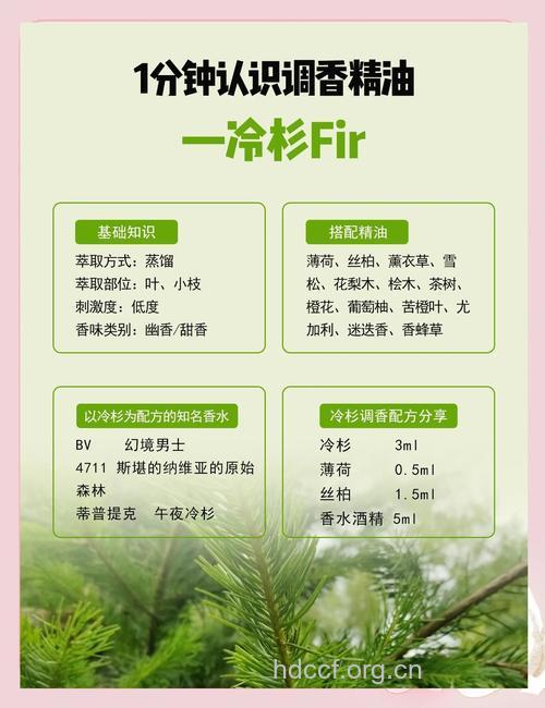 杉木油的功效与作用