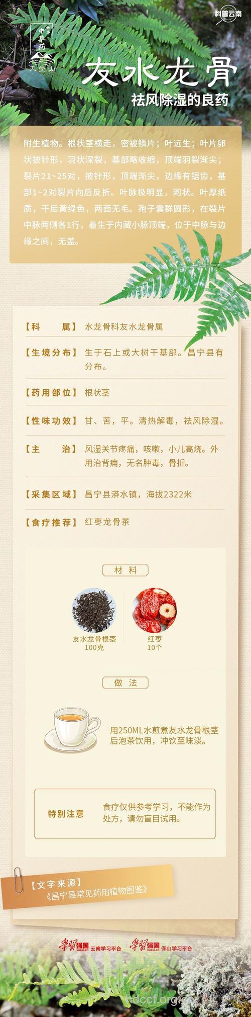 友水龙骨的功效与作用