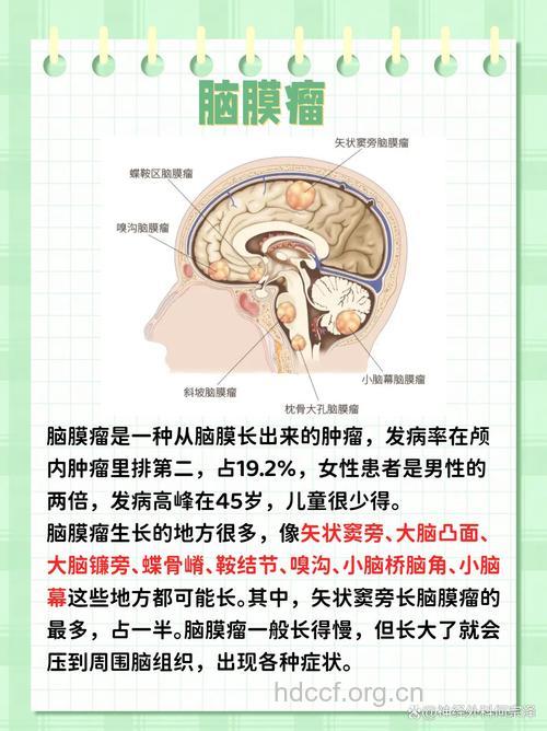 皮肤脑膜瘤由哪些原因引起的
