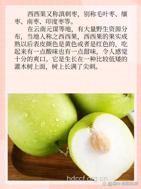 缅枣的功效与作用