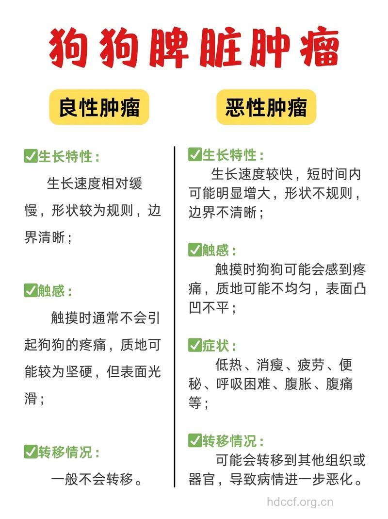 脾良性肿瘤的分类和病因