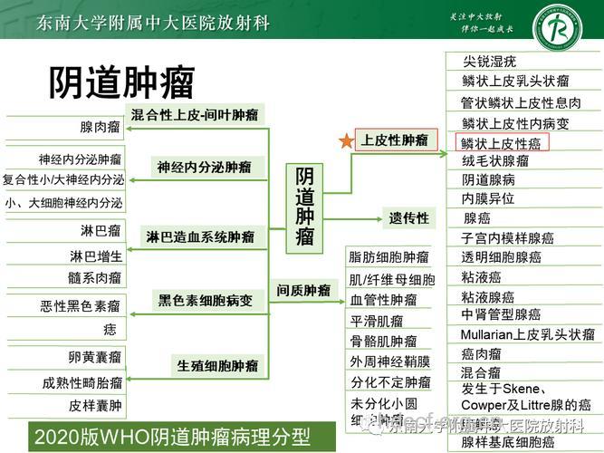 阴道良性肿瘤的发病原因