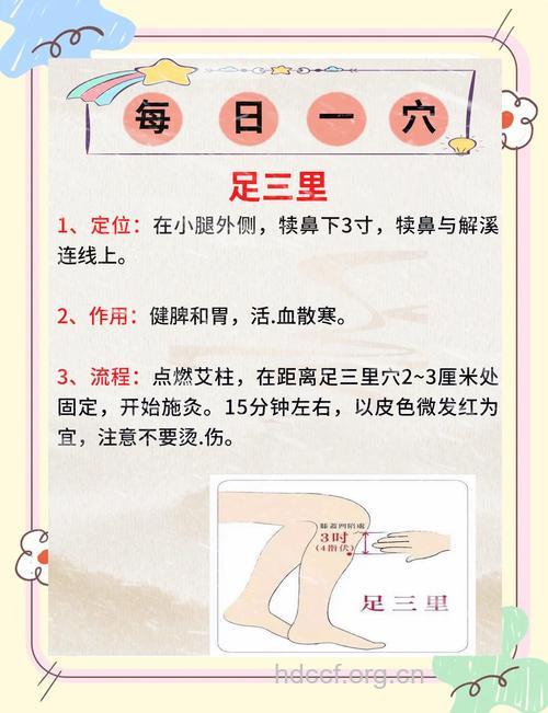 盘点拔罐足三里的功效与作用