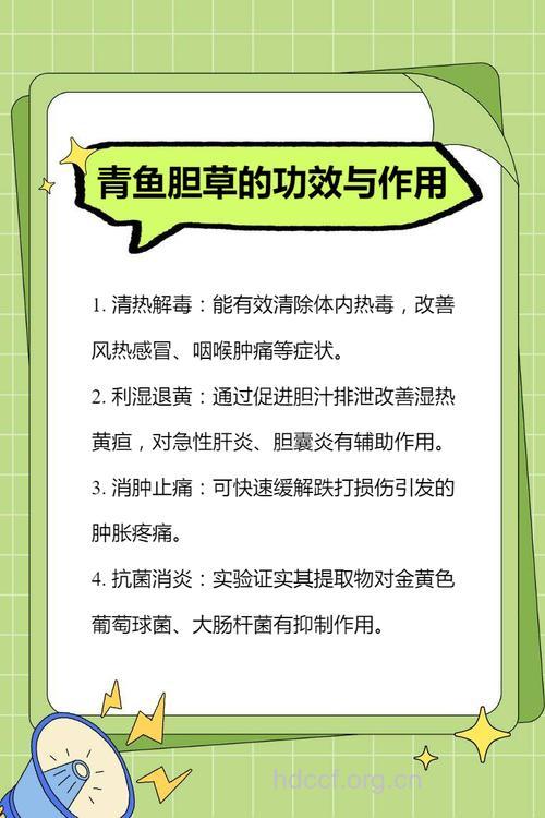 青鱼胆的功效与作用