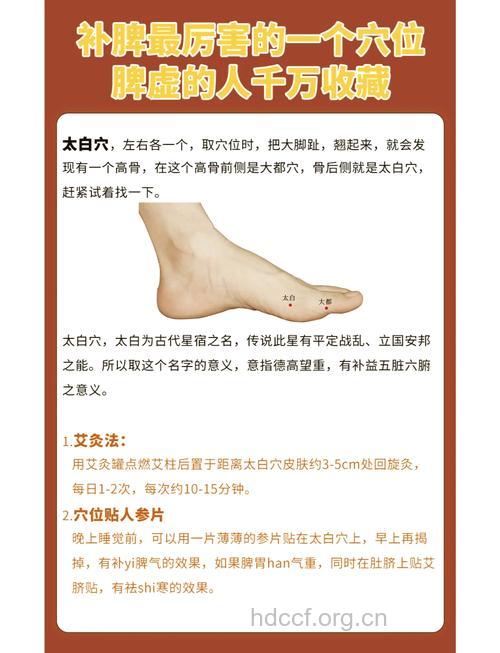 太白针的功效与作用
