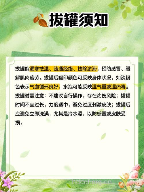 什么时候适合拔罐 不同季节有不同禁忌