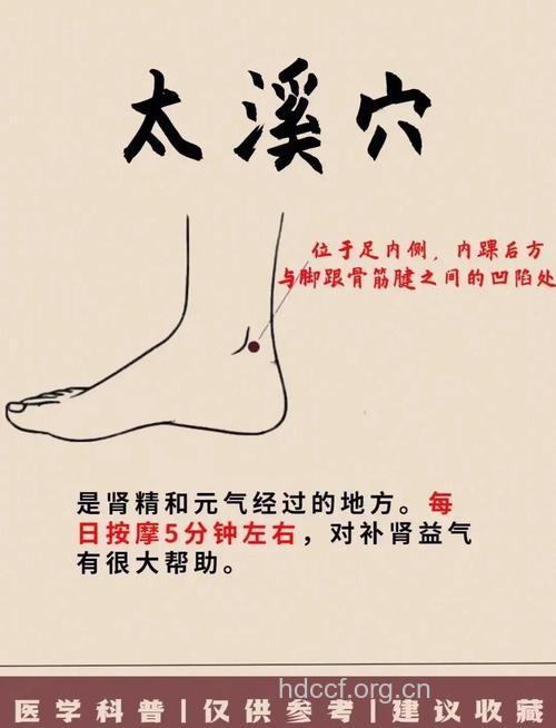 按摩4个穴位有效治疗肾阳虚