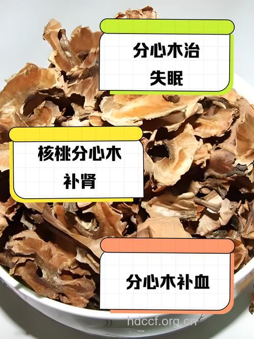 空心木的功效与作用