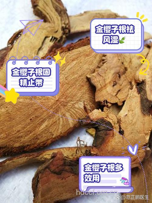 金樱根的功效与作用