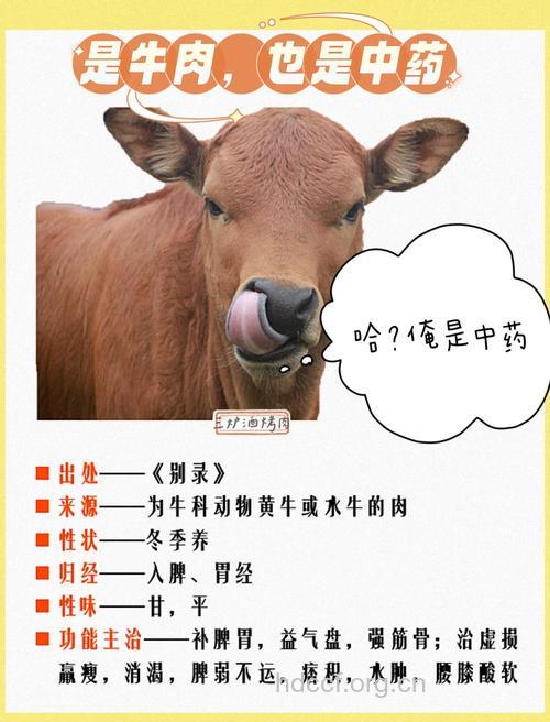 牛口涎的功效与作用