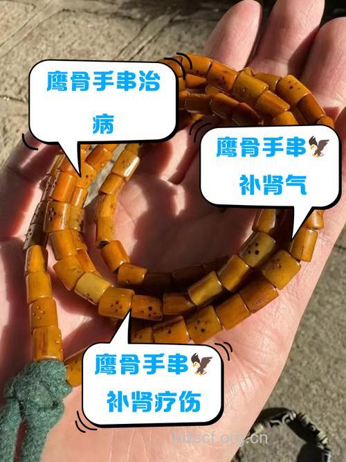 鹰骨的功效与作用