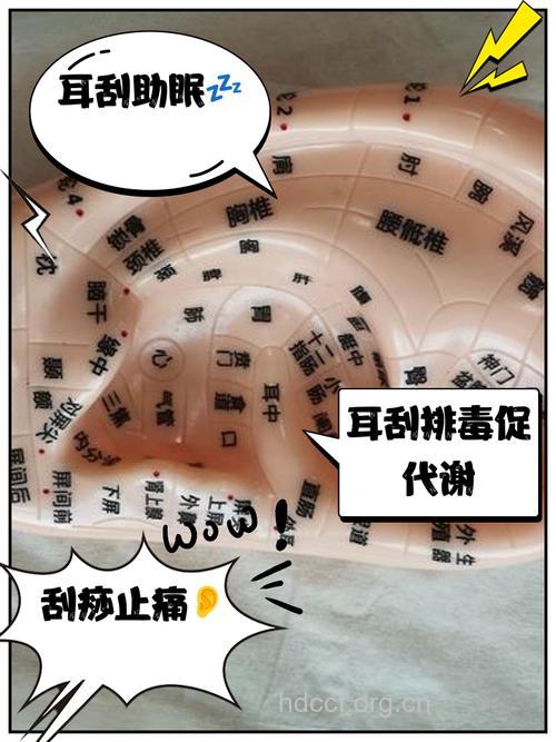 刮痧能治耳鸣吗 耳鸣的刮痧疗法