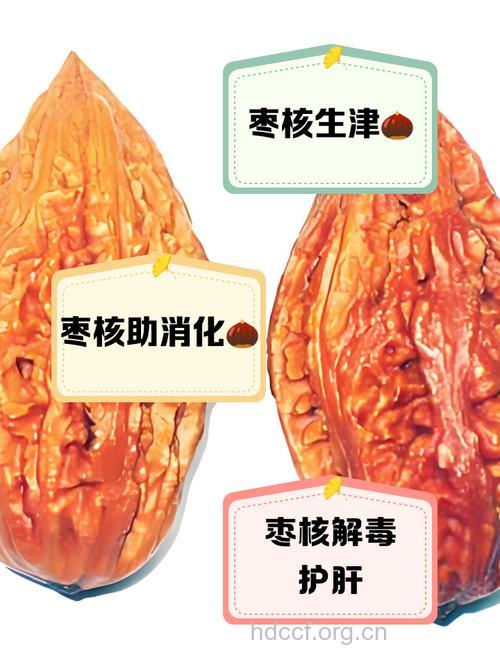 枣核的功效与作用