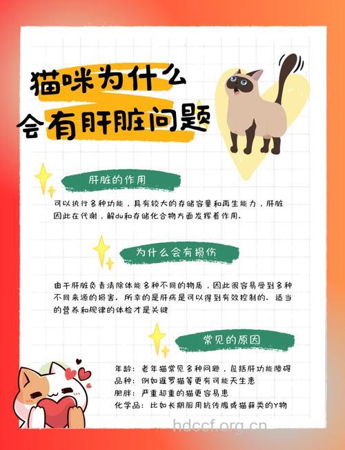 猫肝的功效与作用