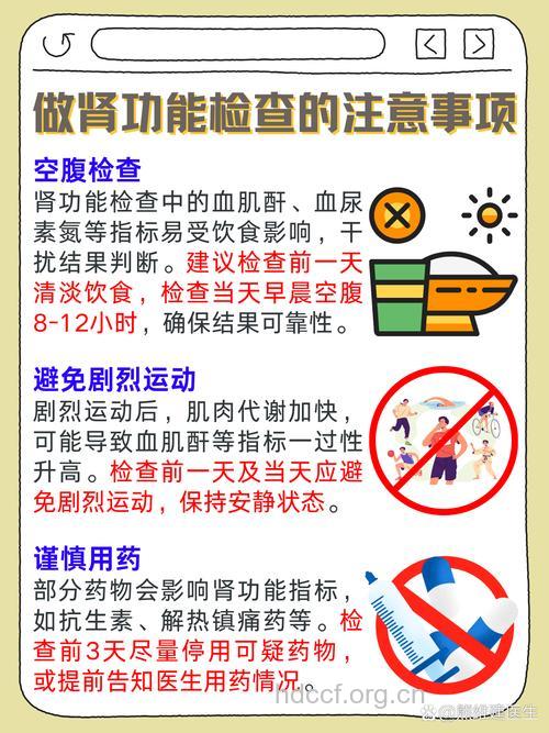 怎么进行肾功能检查方法