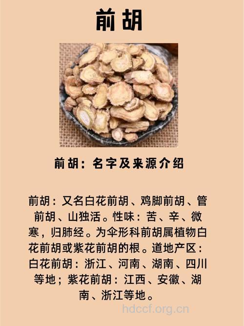 野前胡的功效与作用