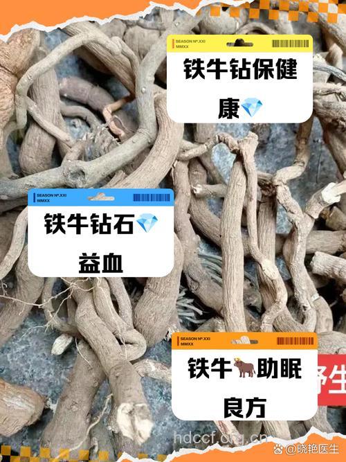 铁牛钻石的功效与作用
