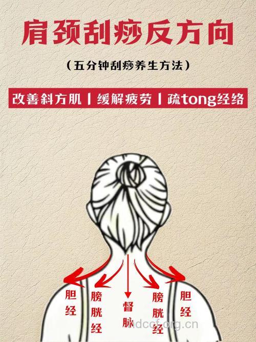 刮痧不同部位 养生效果各不同